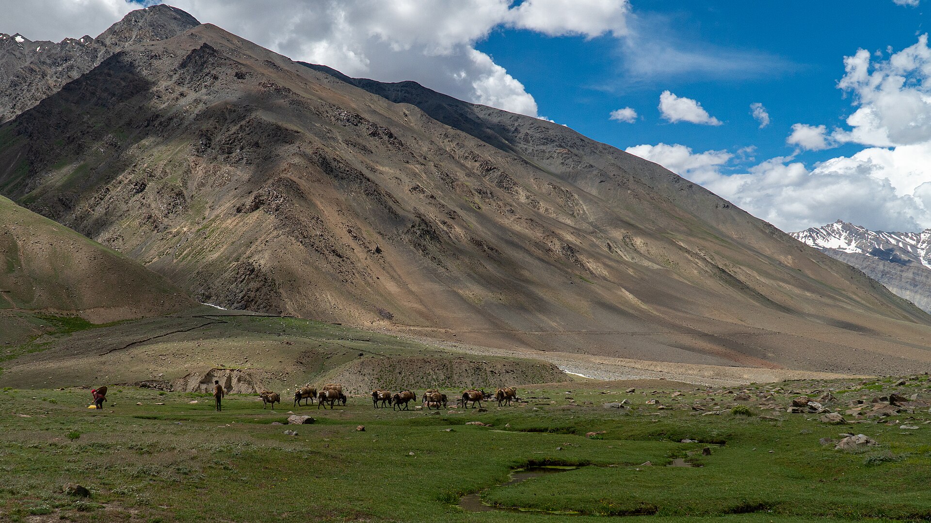 Shivayan Trails gallery photo 13